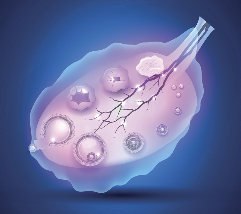 2026年昆明试管婴儿与冷冻卵子医院推荐：附、费用解析及本地生殖中心精选指南
